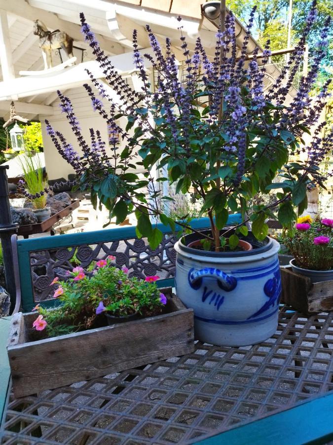Schmoekermuehle Bed & Breakfast Andernach Luaran gambar