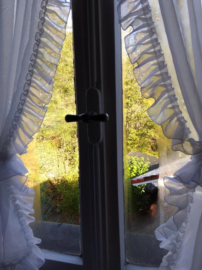 Schmoekermuehle Bed & Breakfast Andernach Luaran gambar