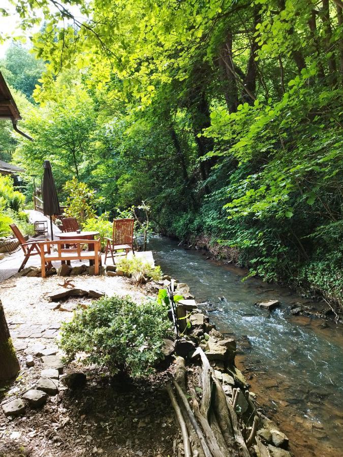 Schmoekermuehle Bed & Breakfast Andernach Luaran gambar